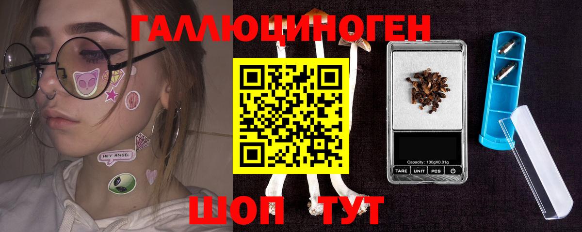 Псилоцибиновые грибы Psilocybe  Вход с VPN  Тайшет 
